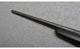 Savage~B-17~.17 HMR - 6 of 10