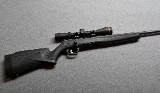 Savage~B-17~.17 HMR - 1 of 10