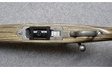 Ruger~All-Weather 77/17~.17 HMR - 10 of 10