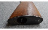 Remington~24~.22 LR. - 9 of 10