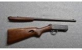 Remington~24~.22 LR. - 10 of 10