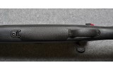 Remington~700~.30-06 SPRG - 10 of 10