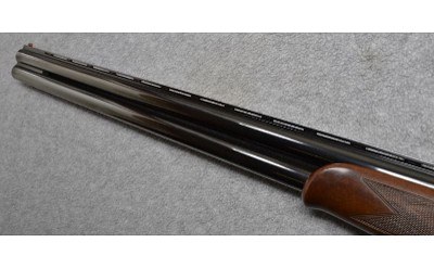 Zoli~STE~12 GA. - Image 6 of 10