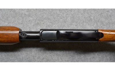 Remington~572 Fieldmaster~.22 S, L, LR. - Image 10 of 10