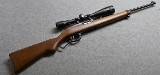 Ruger~Ninety-Six~.17 HMR - Image 1 of 10
