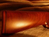 Ruger Red Label O/U 20ga shotgun - 1 of 10