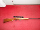 MARLIN MODEL 25 22 RIFLE WITH TASCO PRONGHORN SCOPE. - 1 of 3