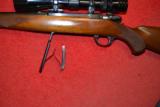 RUGER M77 250 CALIBER MANLICKER STOCK - 16 of 18