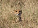 Special South African 10 day plains game safari - 6 of 15