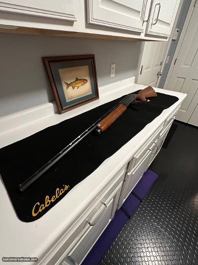 Remington 1100 12 gauge