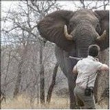 Remington 700 Big Game Synthetic .416 Rem Mag - 1 of 11