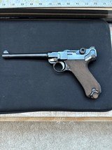 Siamese commercial NAVY Luger RARE - 1 of 4