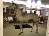 Outstanding Full Size 19th Century Tack Shop Harness Display Horse Antique Folk Art Trade Sign *RARE* - 5 of 15