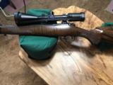 Kimber 84M SuperAmerica .243 WIN - Look at the Beauty of the Wood - 8 of 14