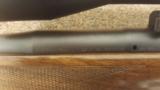 Mauser Model 03 Africa 416 Remington Mag - 6 of 7