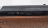 Daisy VL Standard Single Shot .22 Caseless Rifle - 3 of 3