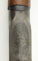 Fox Model B SXS .410 GA - 4 of 6