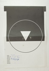 SigSauer P230 SL .380 WBox - 5 of 7