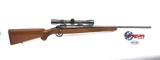 Ruger M77 Standard 22