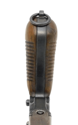 Astra 900 Broomhandle 5.5