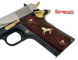 Colt 1911 Government 