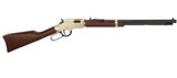 Henry Golden Boy, H004V, .17HMR, 20