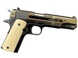 Colt Gov Model 1911
.45 ACP
5