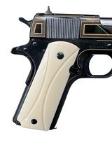 Colt Gov Model 1911
.45 ACP
5