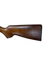 Western Field M850 Semi-Auto Rifle .22 LR – 18
