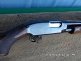 WINCHESTER MODEL 12 PRE-WAR 1936 16 GA. SKEET SHOTGUN BEAUTIFUL PROFESSIONAL RESTORATION.RARE GUN! - 8 of 15