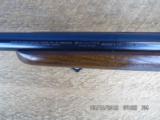 WINCHESTERPRE-64 STANDARD GRADE IN 243 WIN.(ONLY 6000 BUILT STANDARD GRADE) 99% ORIGINAL CONDITION. - 11 of 14