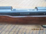 WINCHESTER MODEL 70 PRE-64 (MFG 1962) 243 WIN.VARMIT RIFLE 98% PLUS ALLORIGINAL CONDITION. - 4 of 16