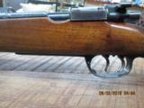 MAUSER TYPE B 123 SPORTING PRE-WAR 30-06 CAL. BOLT RIFLE OBERNDORF ,ALL MATCHING NUMBERS AND 98% OVERALL ORIG.COND. - 4 of 24