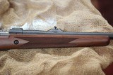 Winchester M70 .459 Safari - 4 of 14