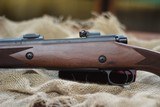 Winchester M70 .459 Safari - 8 of 14