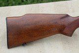 Winchester Model 70 Pre-64. .243 Caliber - 7 of 12