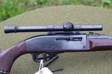 Remington Nylon 66 .22 LR Semi auto Rifle - 6 of 8