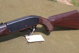 Remington Nylon 66
.22 Caliber Rifle - 1 of 9