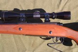 Winchester Model 70 .375 H&H Magnum - 7 of 9