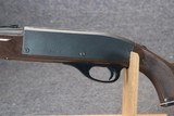 Remington Nylon 66 .22 Long Rifle - 7 of 12