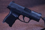 Sig Sauer P365- 9mm Luger - 8 of 10