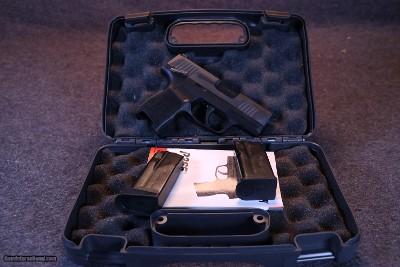 Sig Sauer P365- 9mm Luger