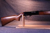 Winchester Model 190- .22 LR