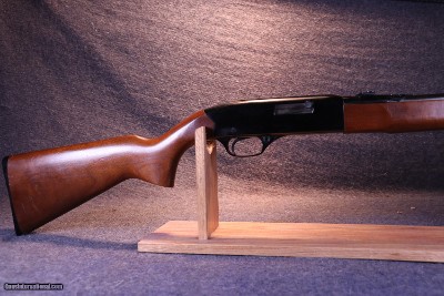 Winchester Model 190- .22 LR