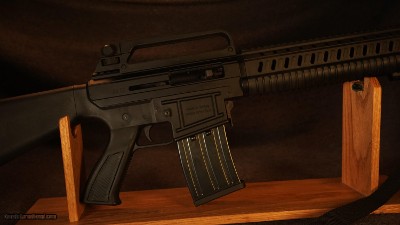 Leader Arms AR12- 12 Ga