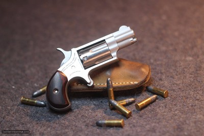 North American Arms .22 LR