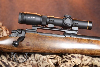 A Square 577 Tyrannosaur