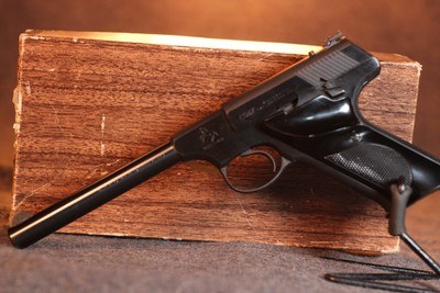 Colt targets man 22 long rilfe