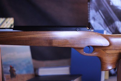 Remington Model 700 Bench Rest Rifle 17Rem
