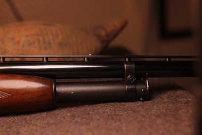 Winchester Model 12 factory Trap Grade .12Ga - Image 15 of 15